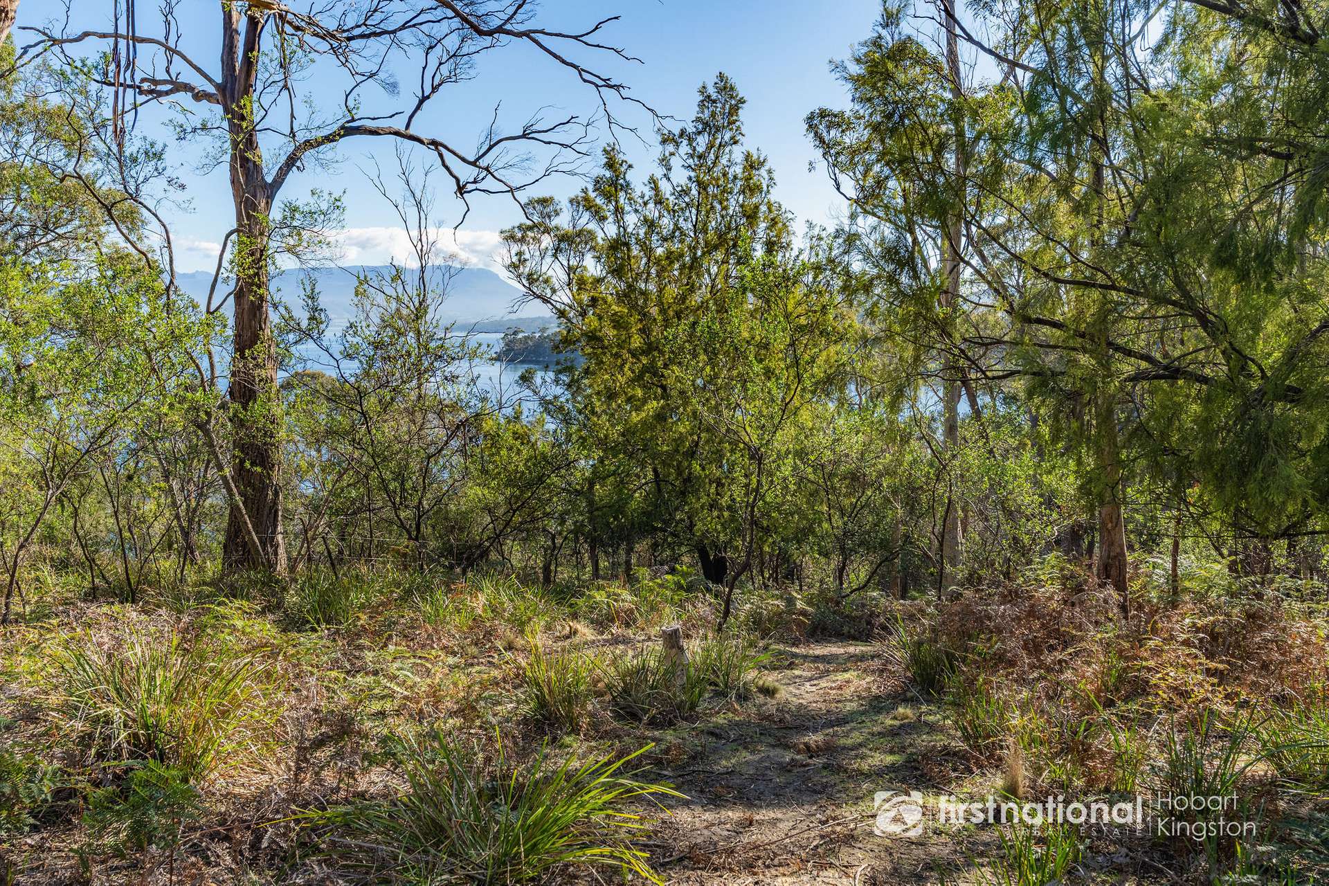 414 & 416 Nebraska Road, Killora For Sale by Farmbuy.com - image 12