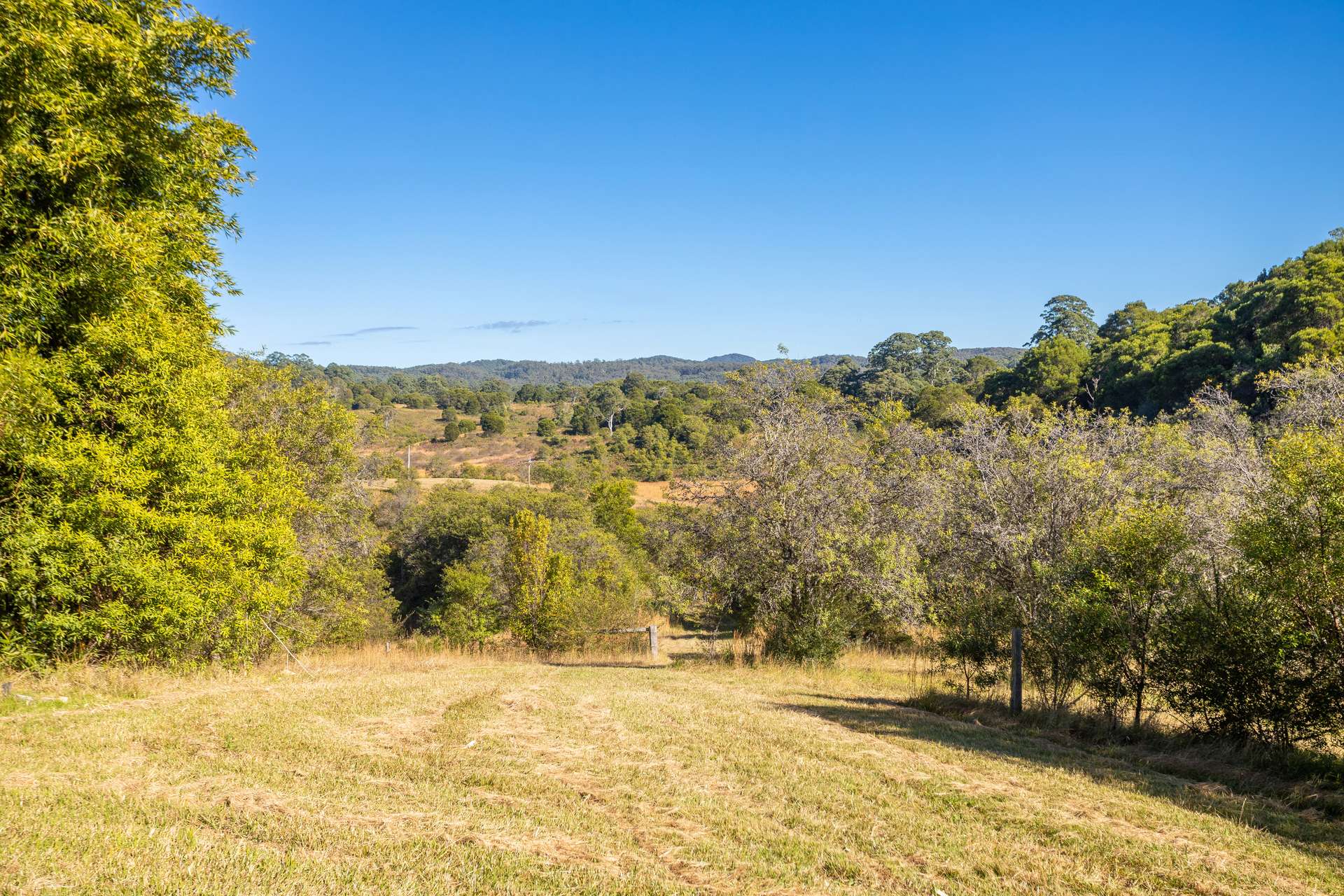 171 Glenwarrin Road, Elands For Sale by Farmbuy.com - image 5