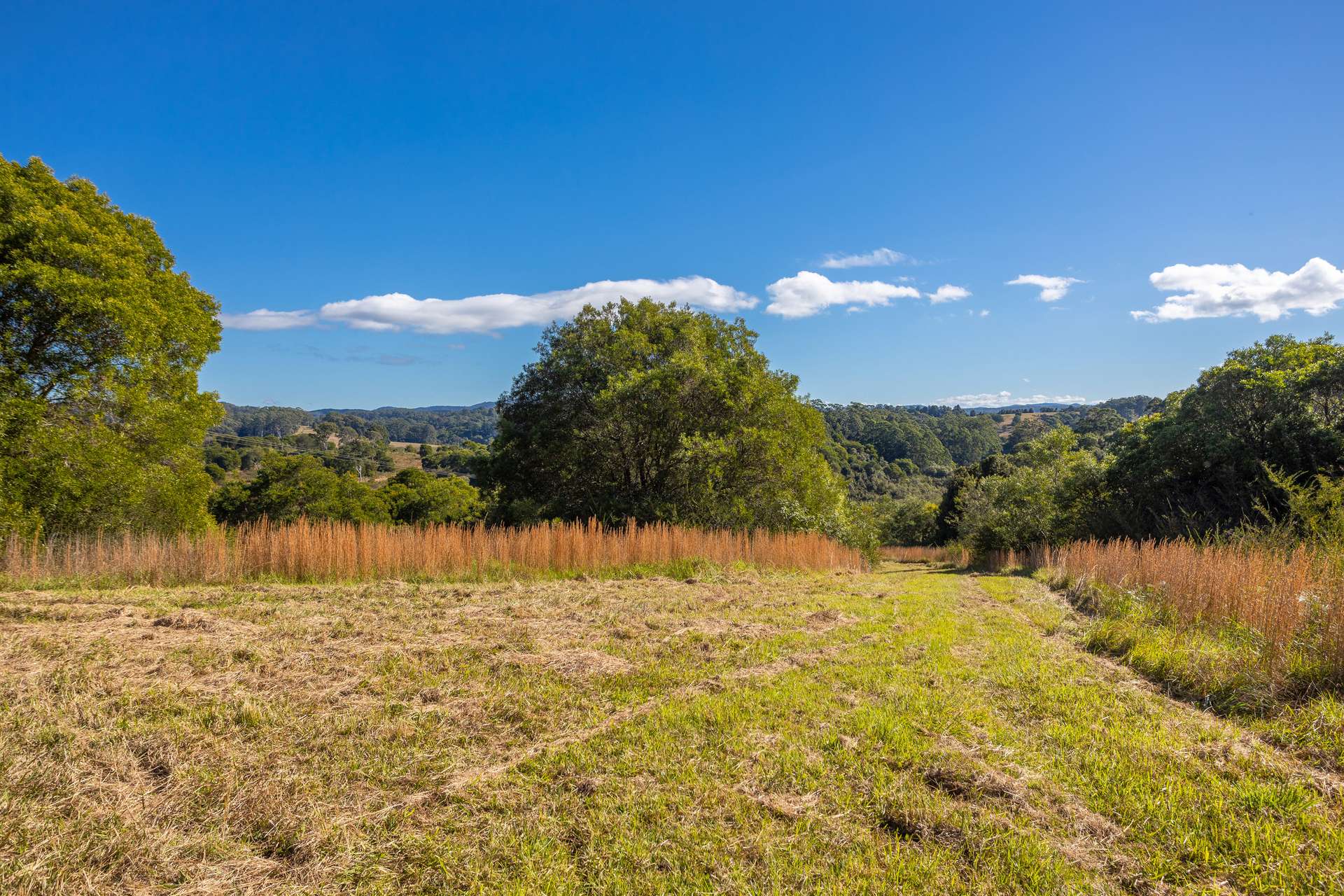 171 Glenwarrin Road, Elands For Sale by Farmbuy.com - image 10
