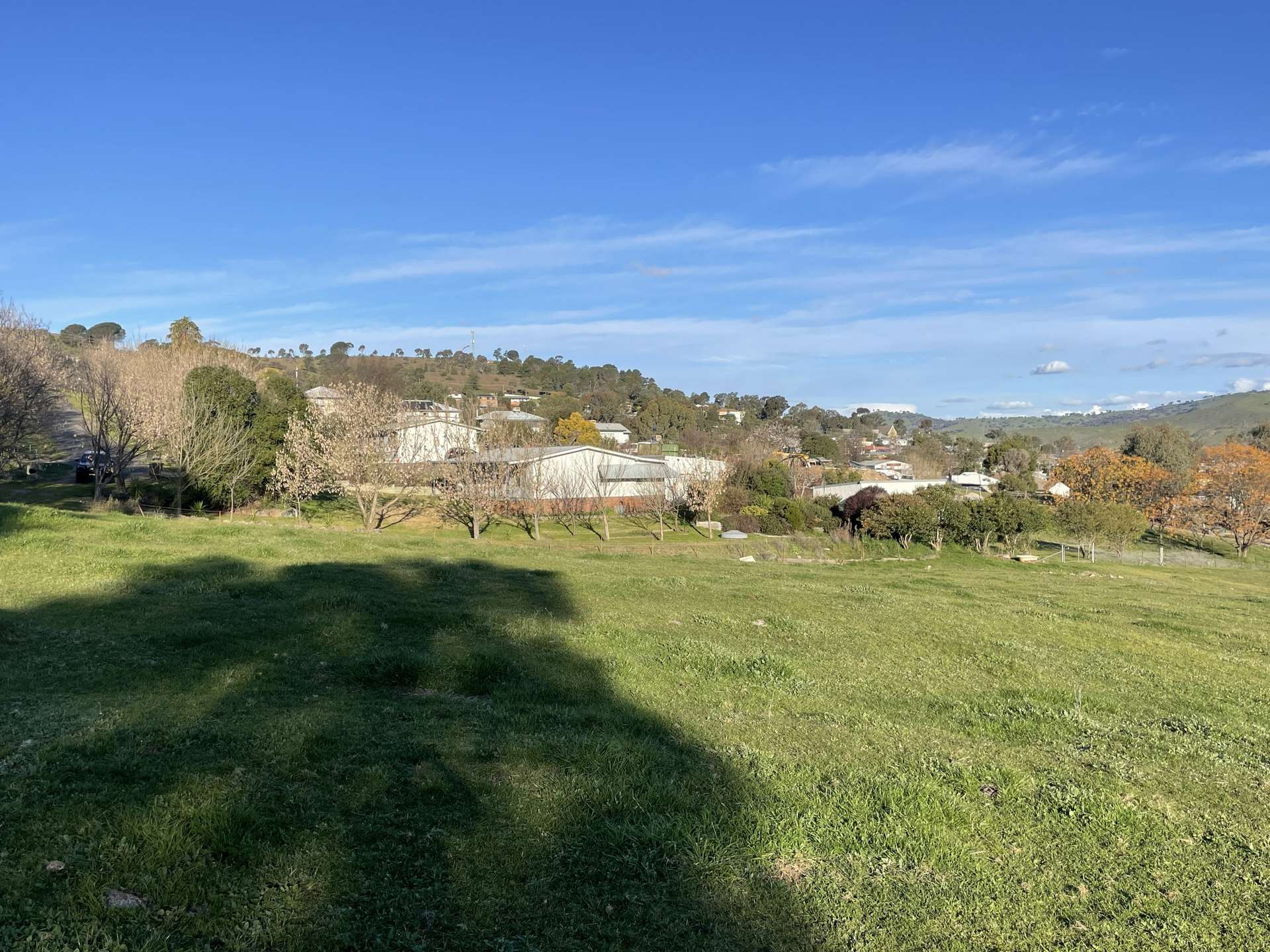 12 Nicholls Avenue, Gundagai For Sale by Farmbuy.com - image 24