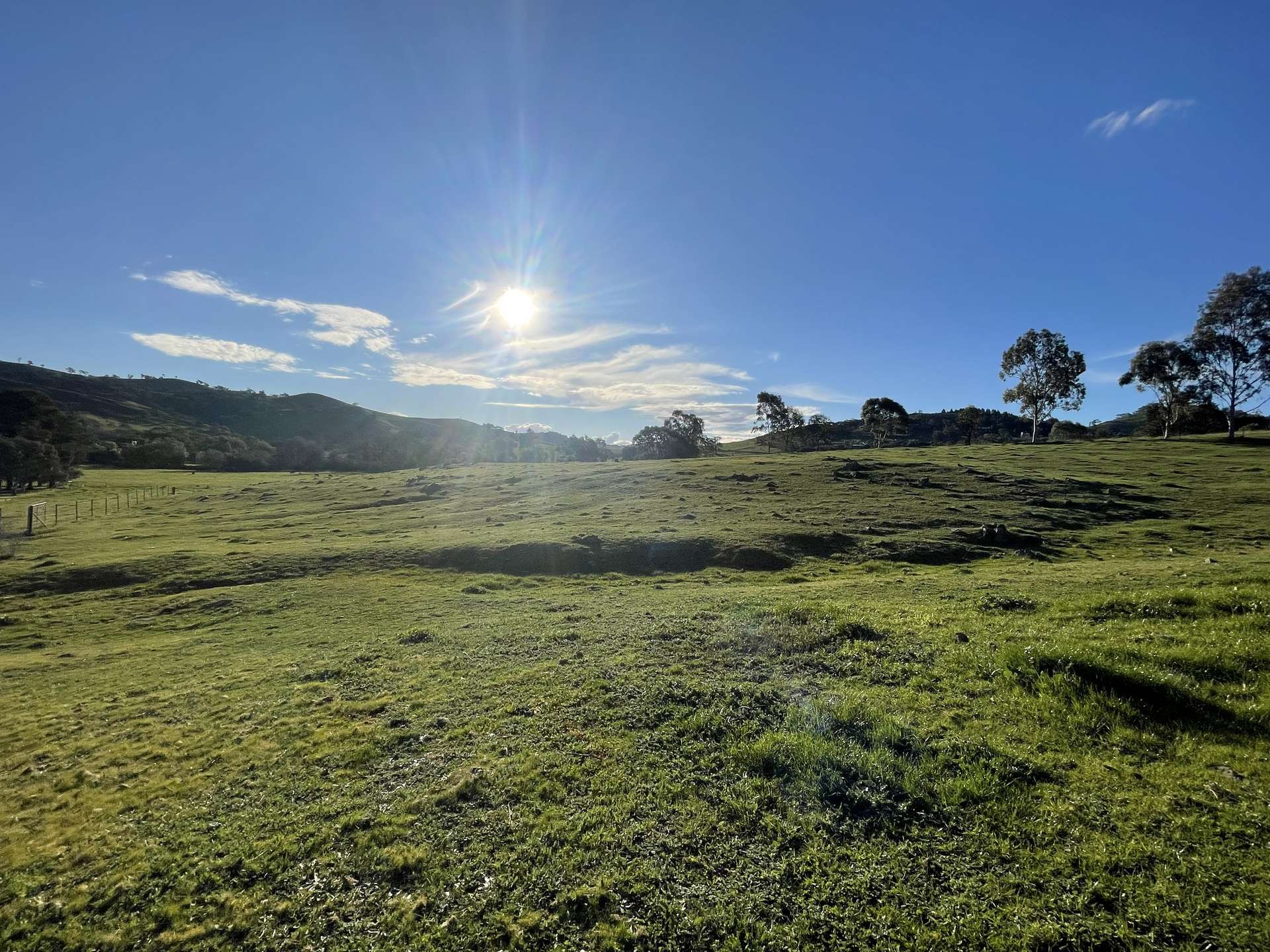 12 Nicholls Avenue, Gundagai For Sale by Farmbuy.com - image 22