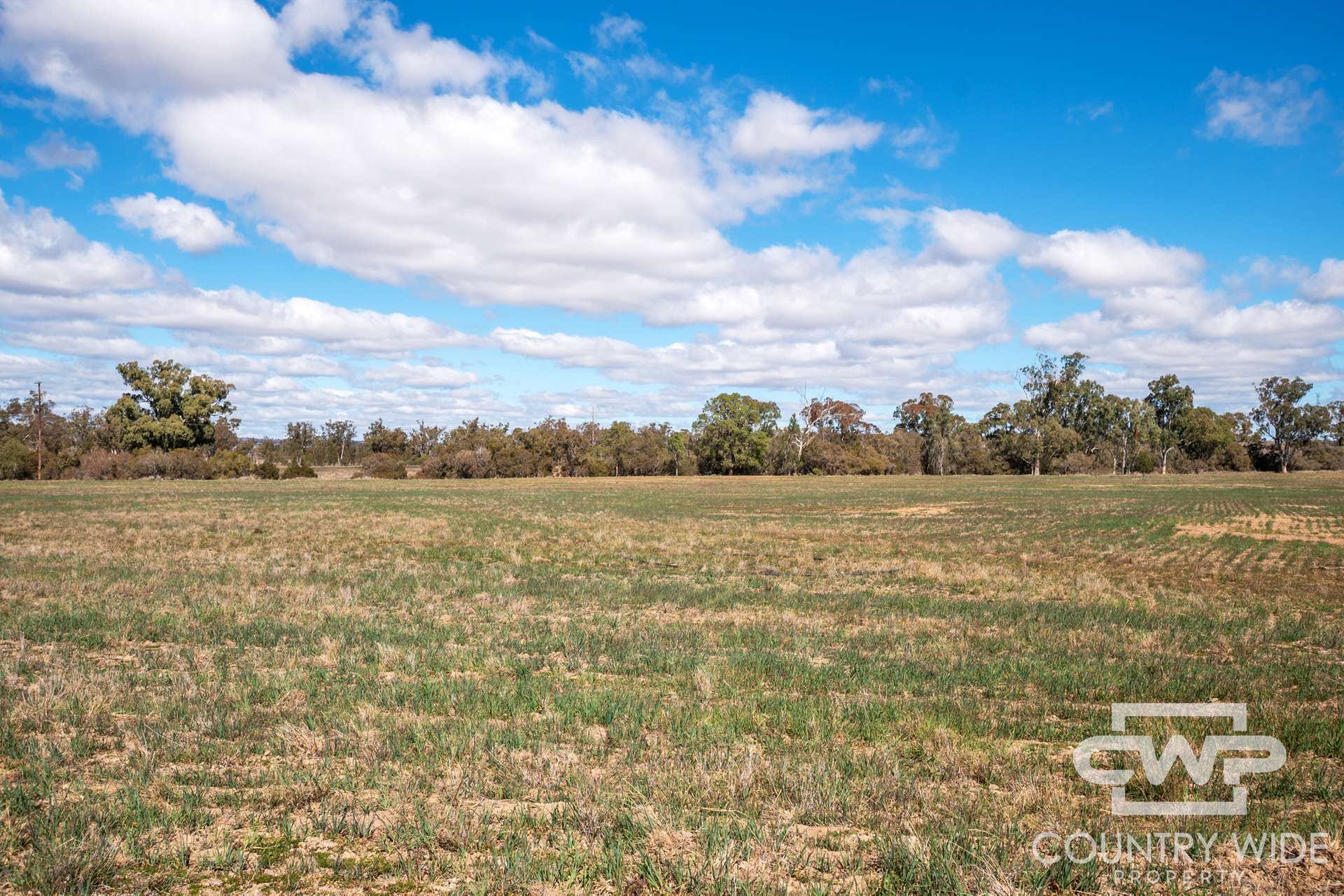 3181 Bonshaw Road, Bonshaw For Sale by Farmbuy.com - image 20