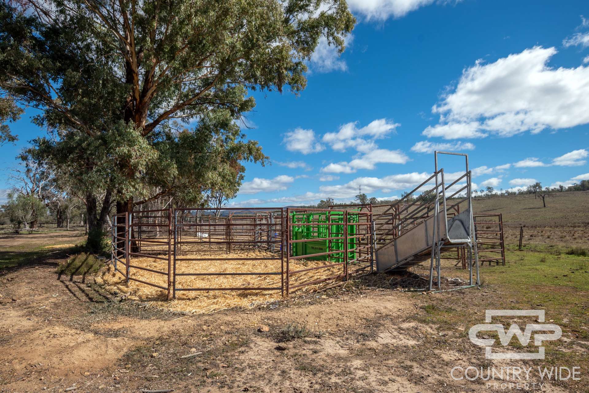 3181 Bonshaw Road, Bonshaw For Sale by Farmbuy.com - image 18