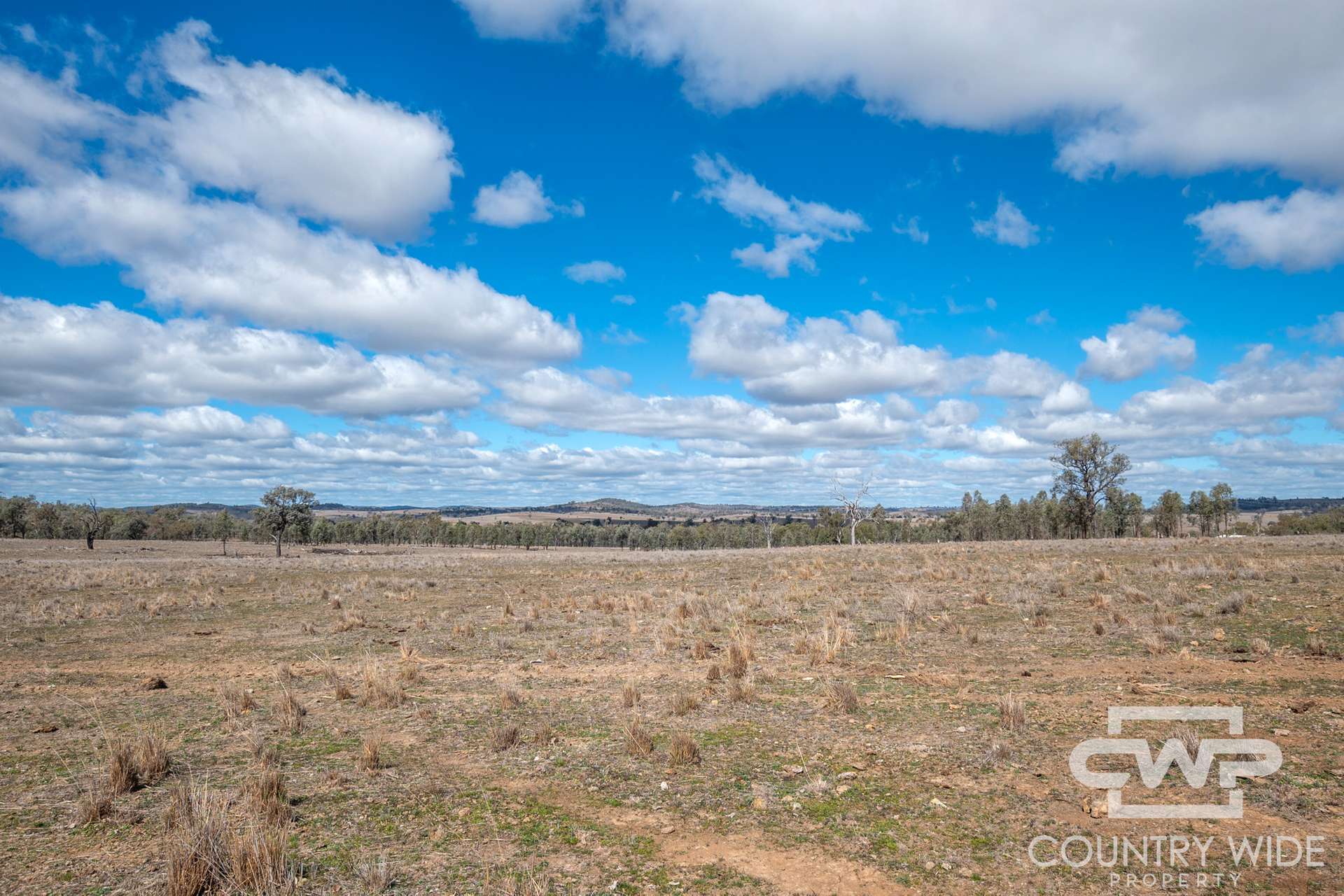 3181 Bonshaw Road, Bonshaw For Sale by Farmbuy.com - image 25