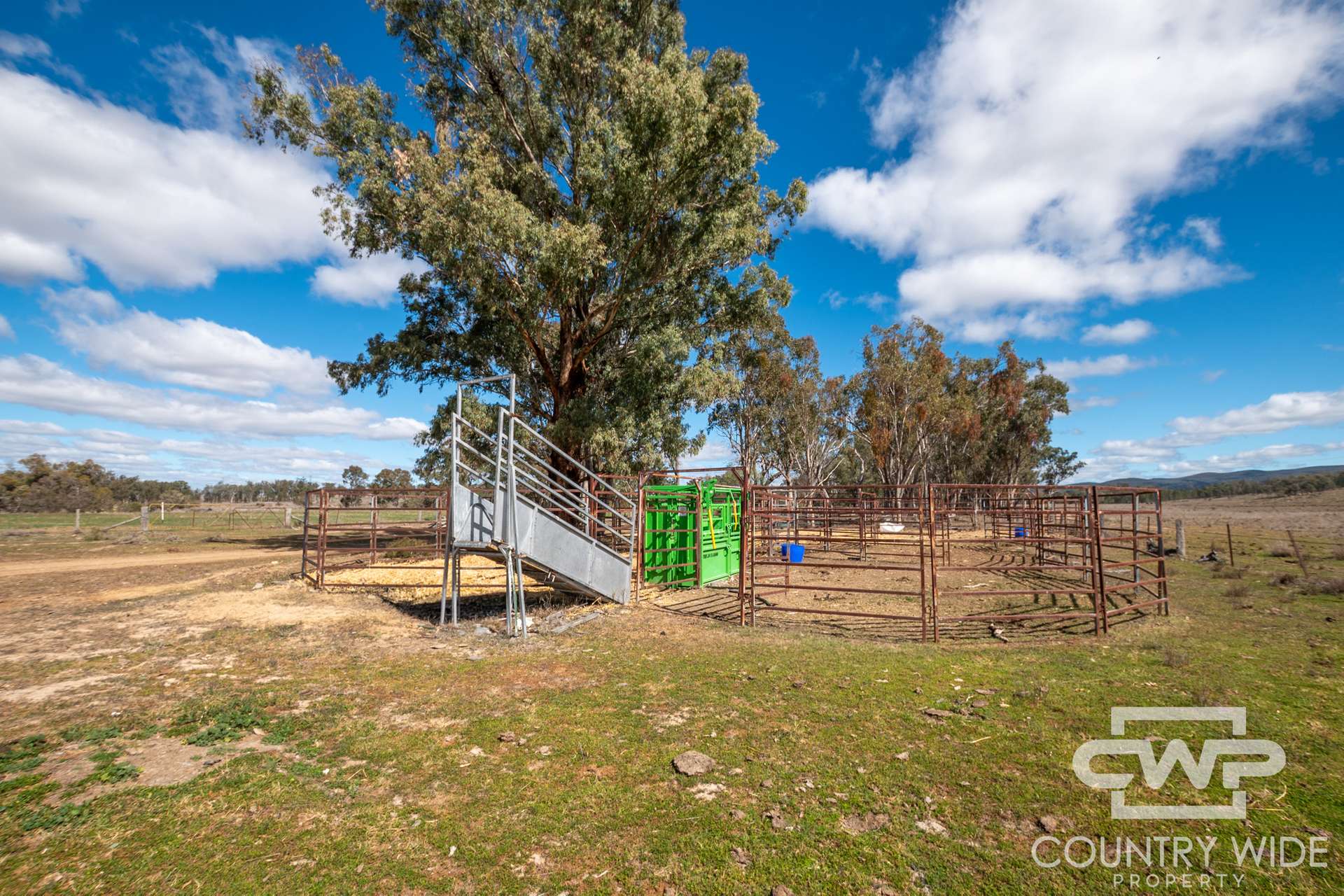 3181 Bonshaw Road, Bonshaw For Sale by Farmbuy.com - image 17