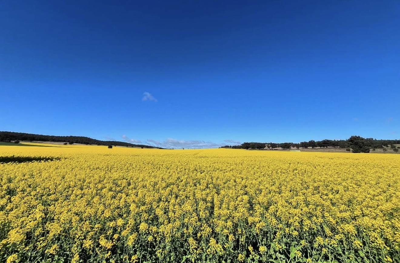 935A Nangar Road, Canowindra Auction by Farmbuy.com - image 27