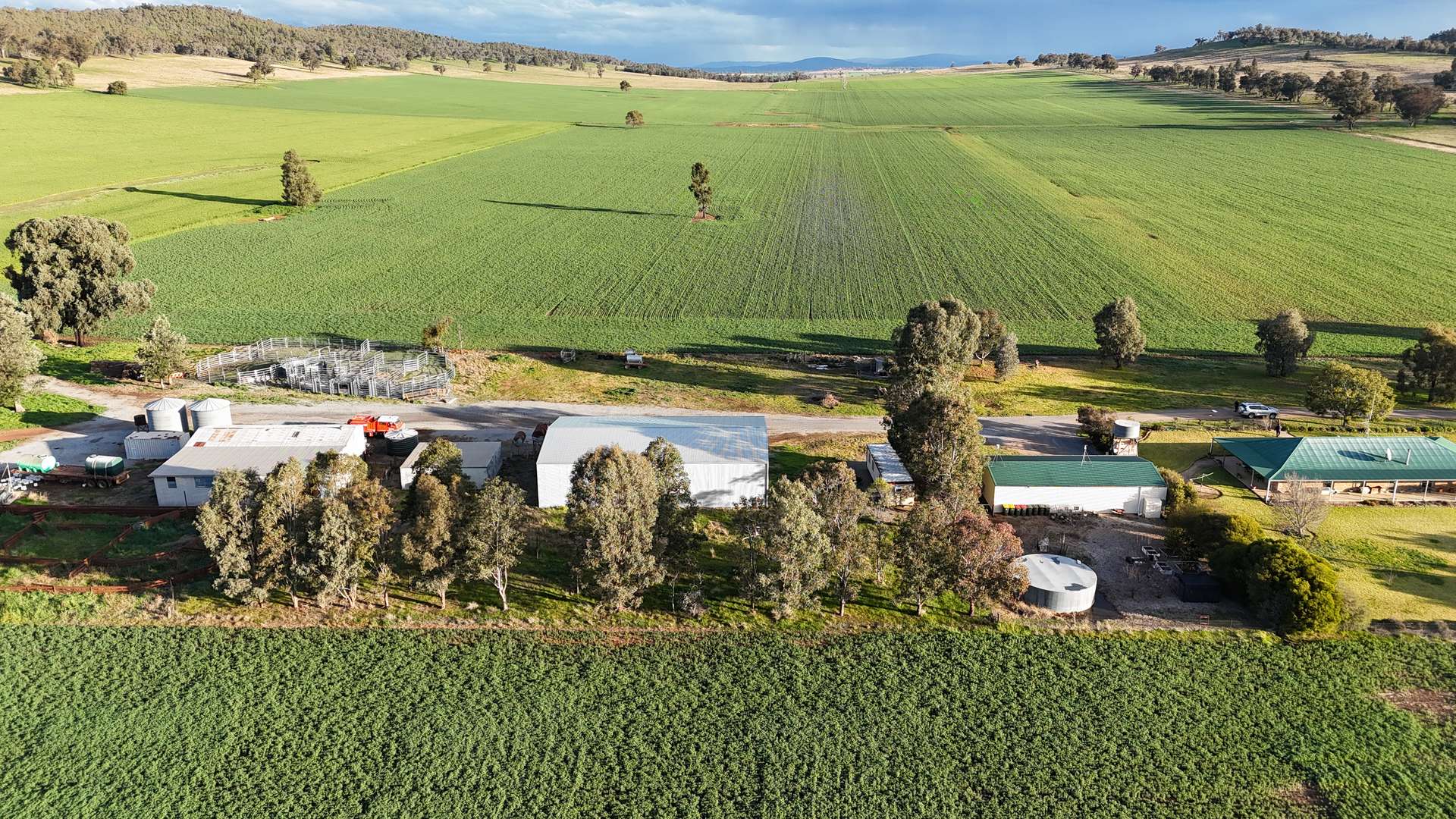 935A Nangar Road, Canowindra Auction by Farmbuy.com - image 6