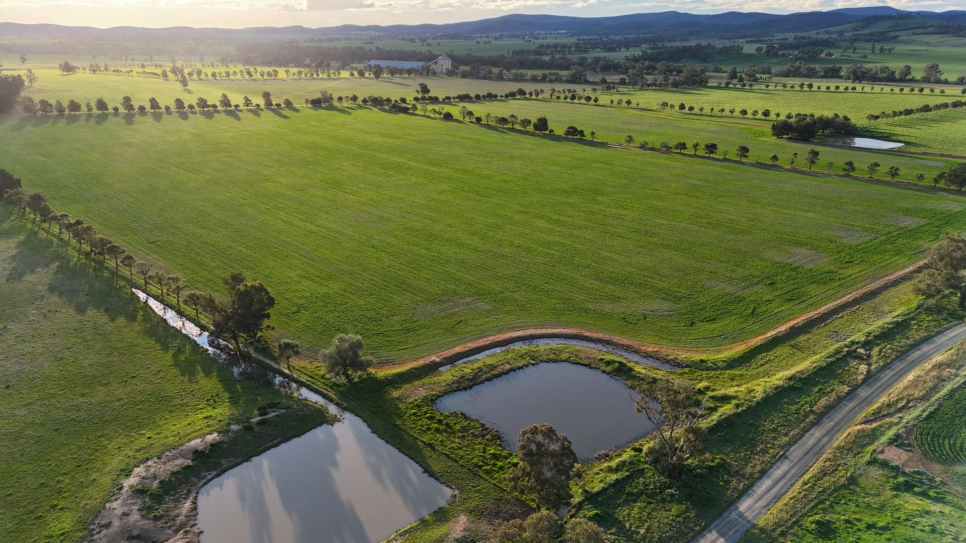 935A Nangar Road, Canowindra Auction by Farmbuy.com - image 8