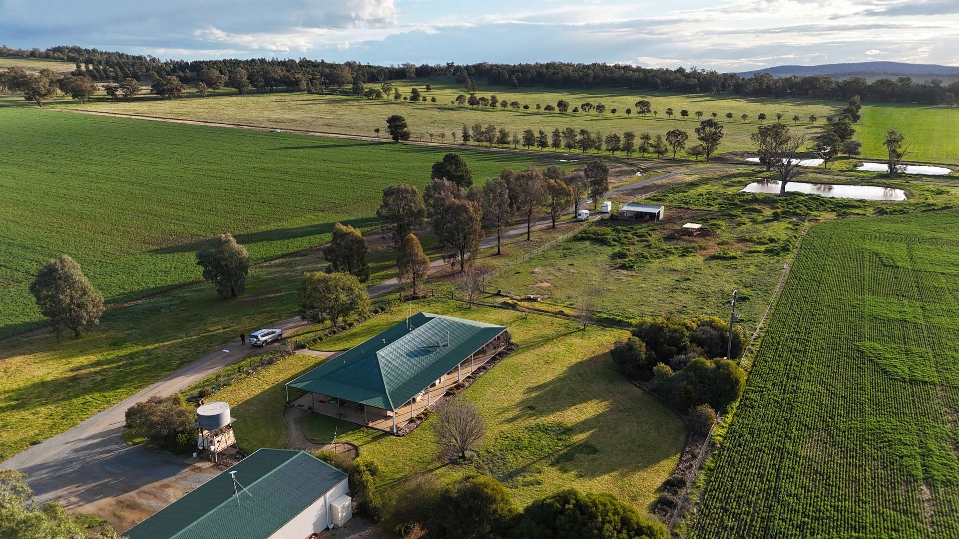 935A Nangar Road, Canowindra Auction by Farmbuy.com - image 2