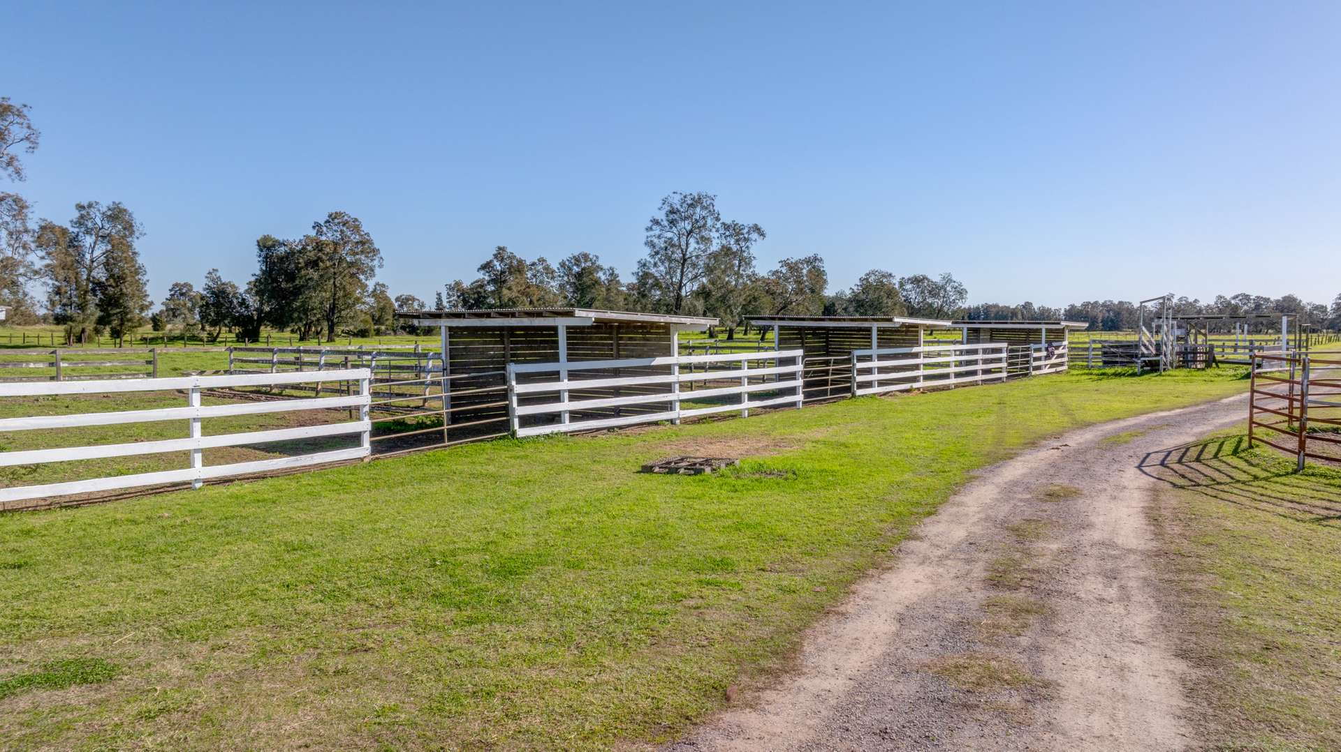 129 Newline Road, Raymond Terrace Auction by Farmbuy.com - image 21