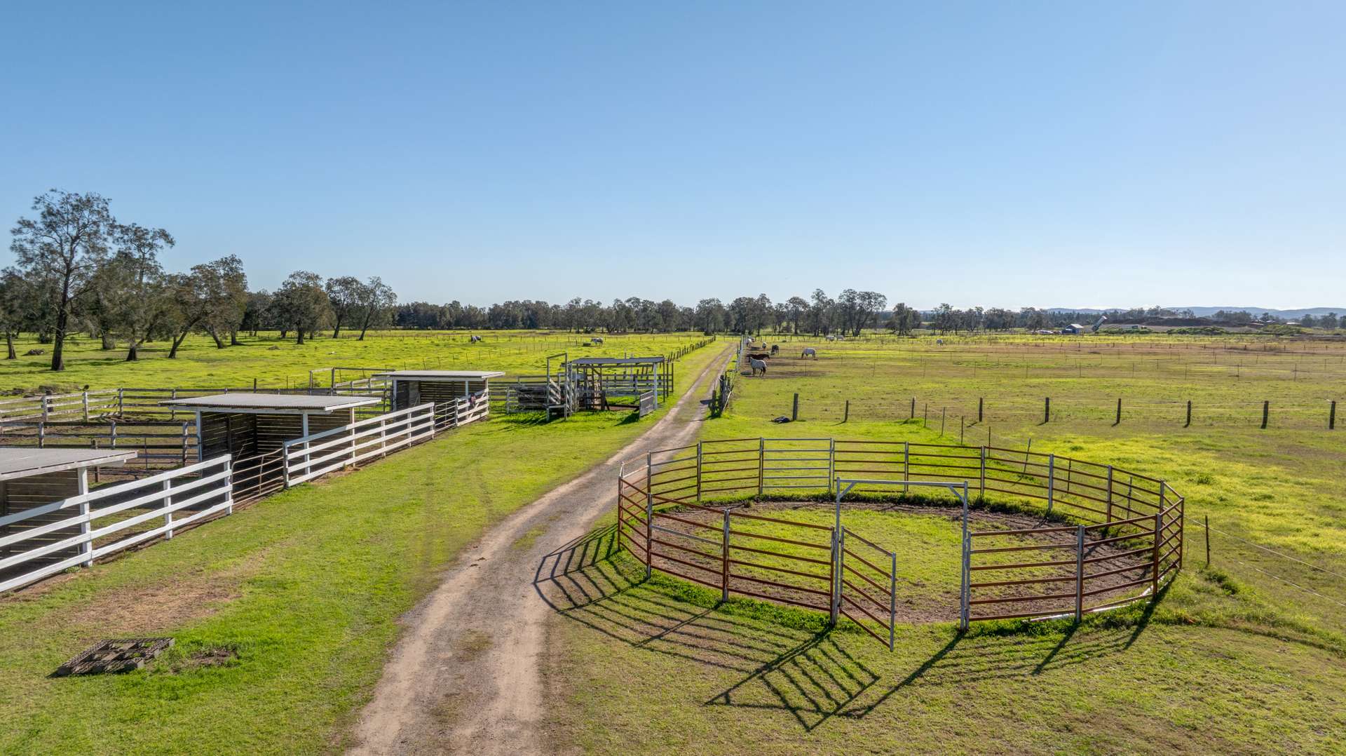 129 Newline Road, Raymond Terrace Auction by Farmbuy.com - image 8