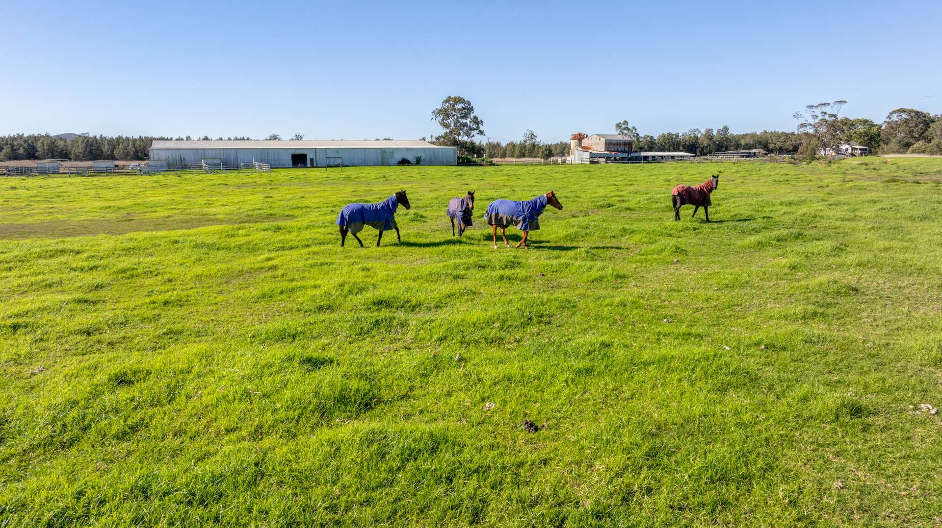 129 Newline Road, Raymond Terrace Auction by Farmbuy.com - image 7