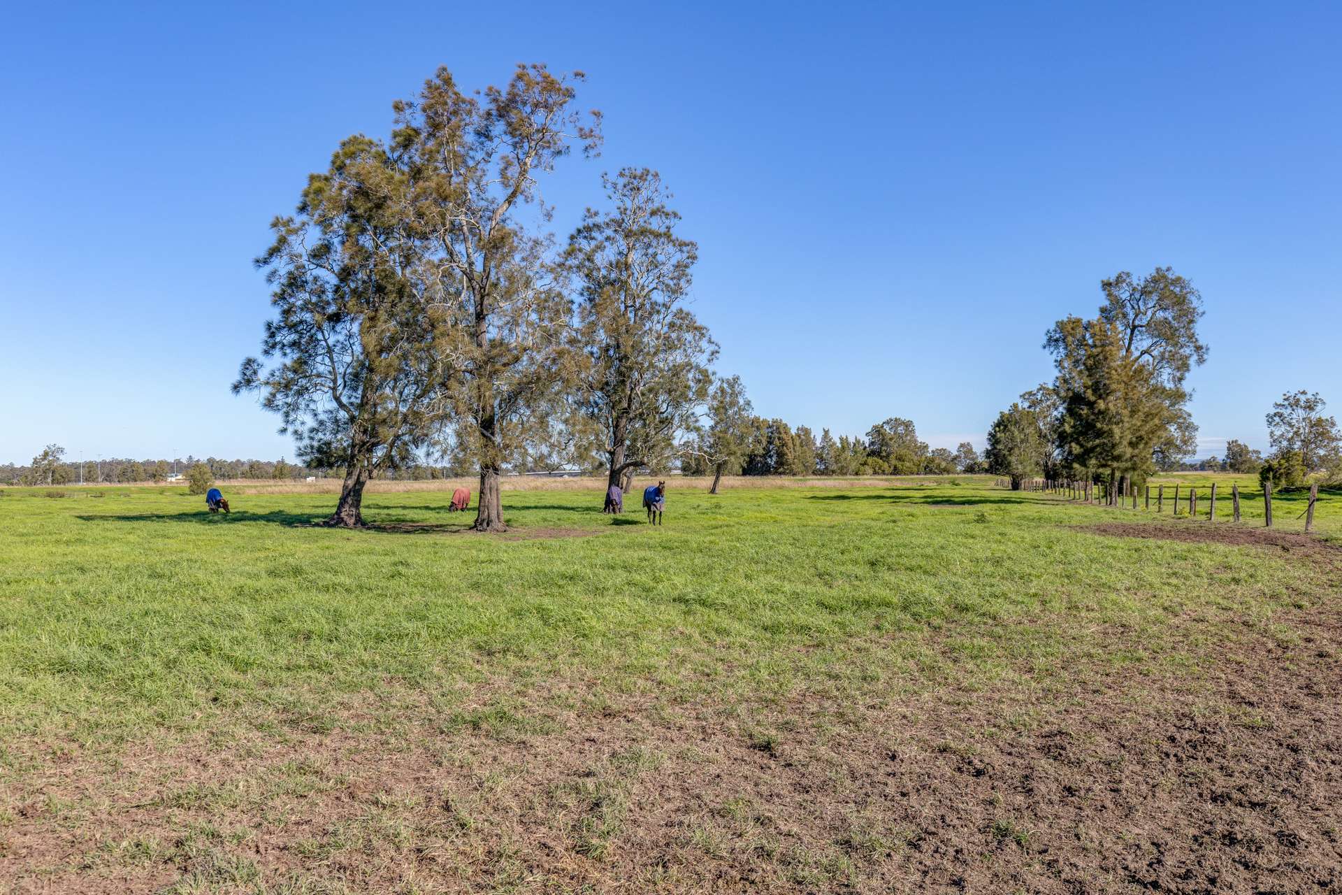 129 Newline Road, Raymond Terrace Auction by Farmbuy.com - image 24