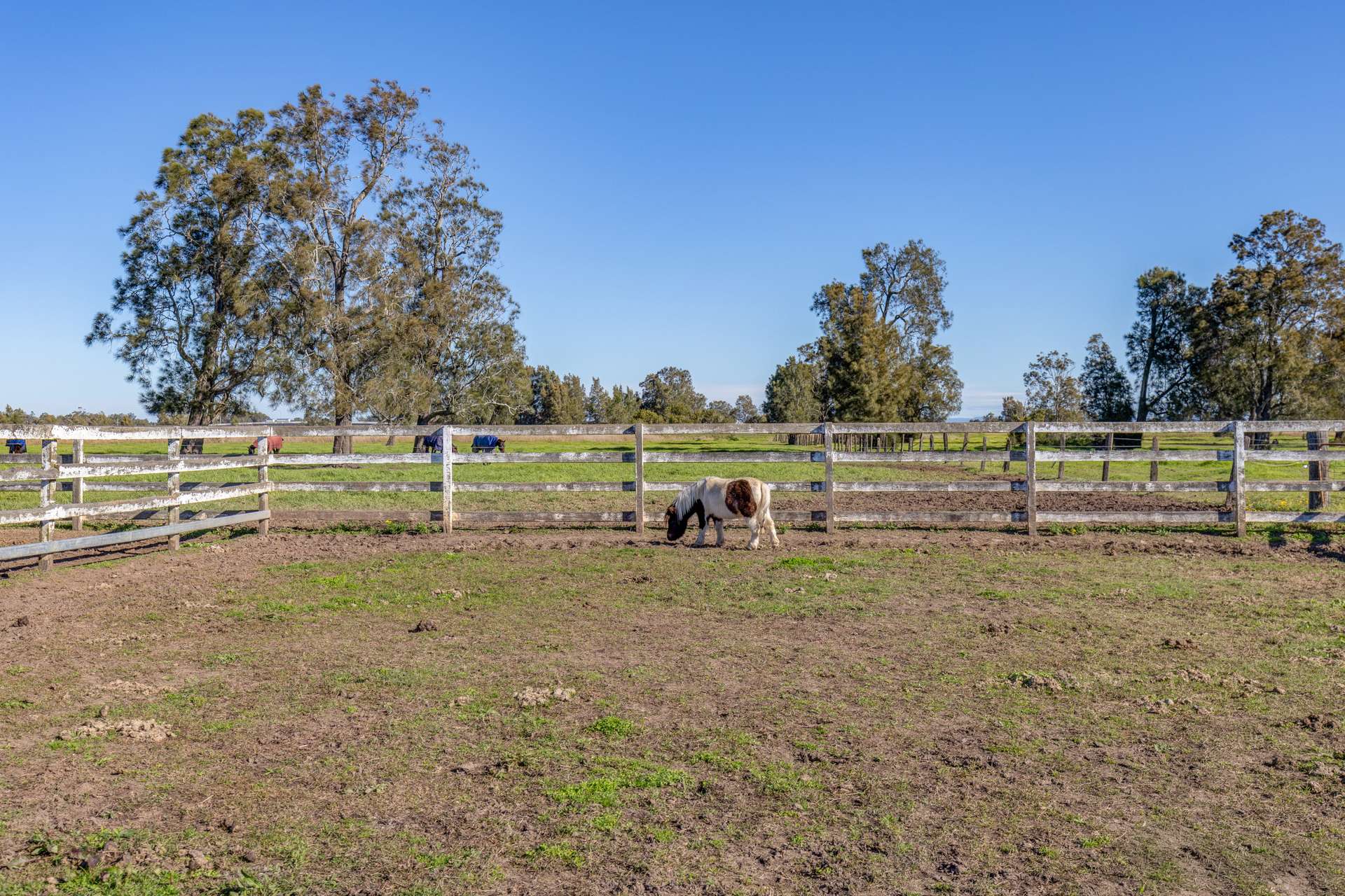 129 Newline Road, Raymond Terrace Auction by Farmbuy.com - image 25