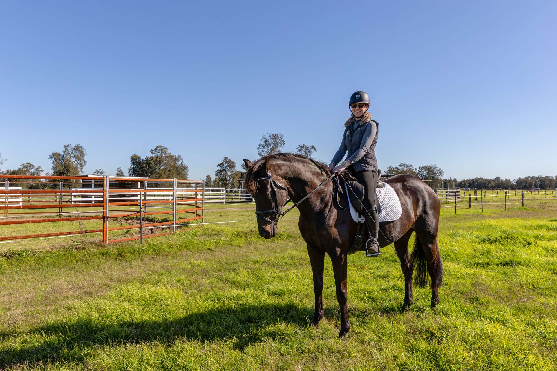129 Newline Road, Raymond Terrace Auction by Farmbuy.com - image 22