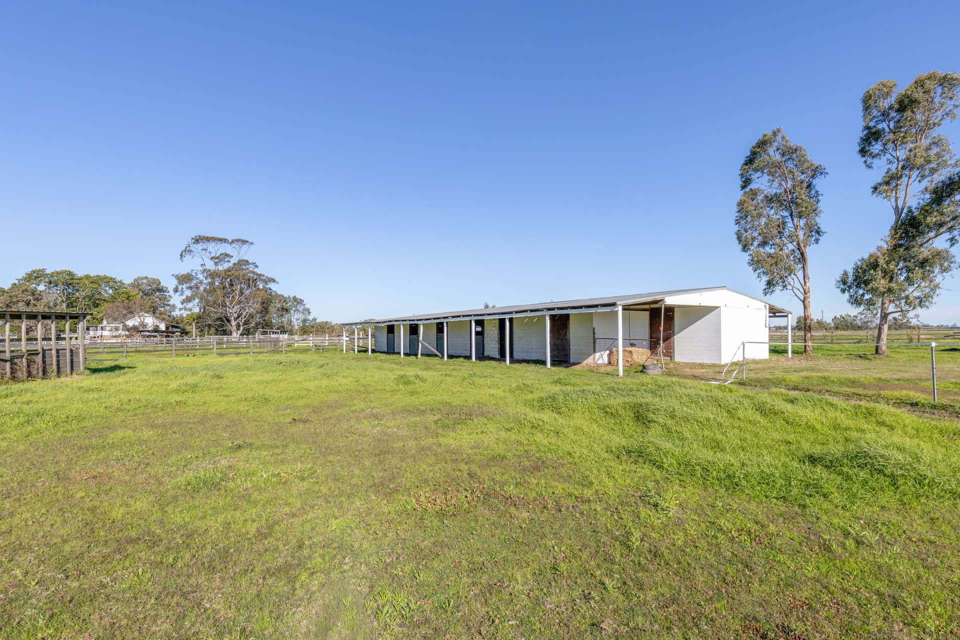 129 Newline Road, Raymond Terrace Auction by Farmbuy.com - image 16