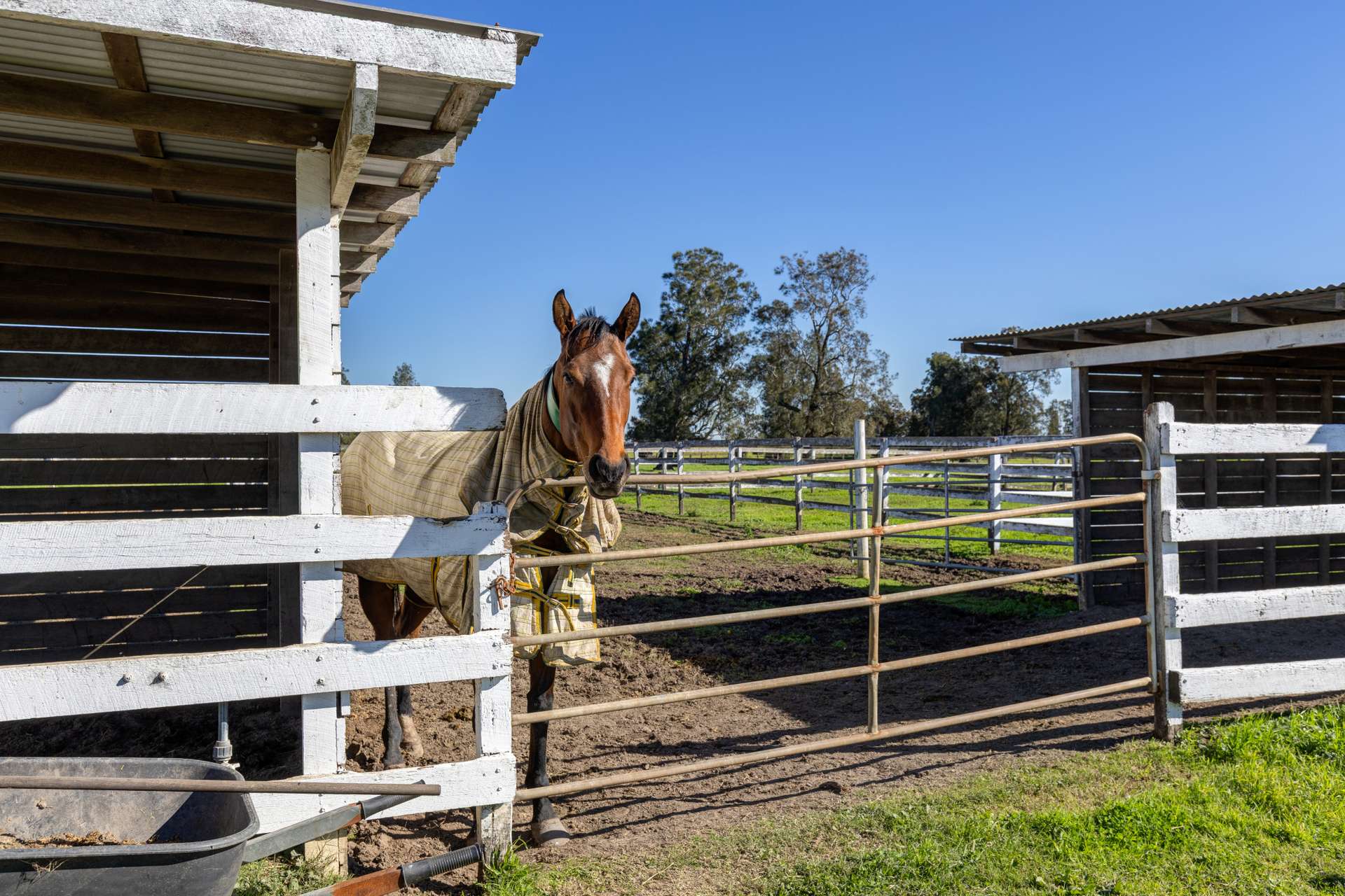 129 Newline Road, Raymond Terrace Auction by Farmbuy.com - image 23