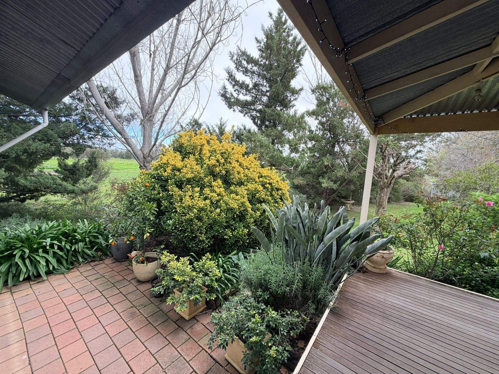 465 East Barham Road, Barham For Sale by Farmbuy.com - image 29