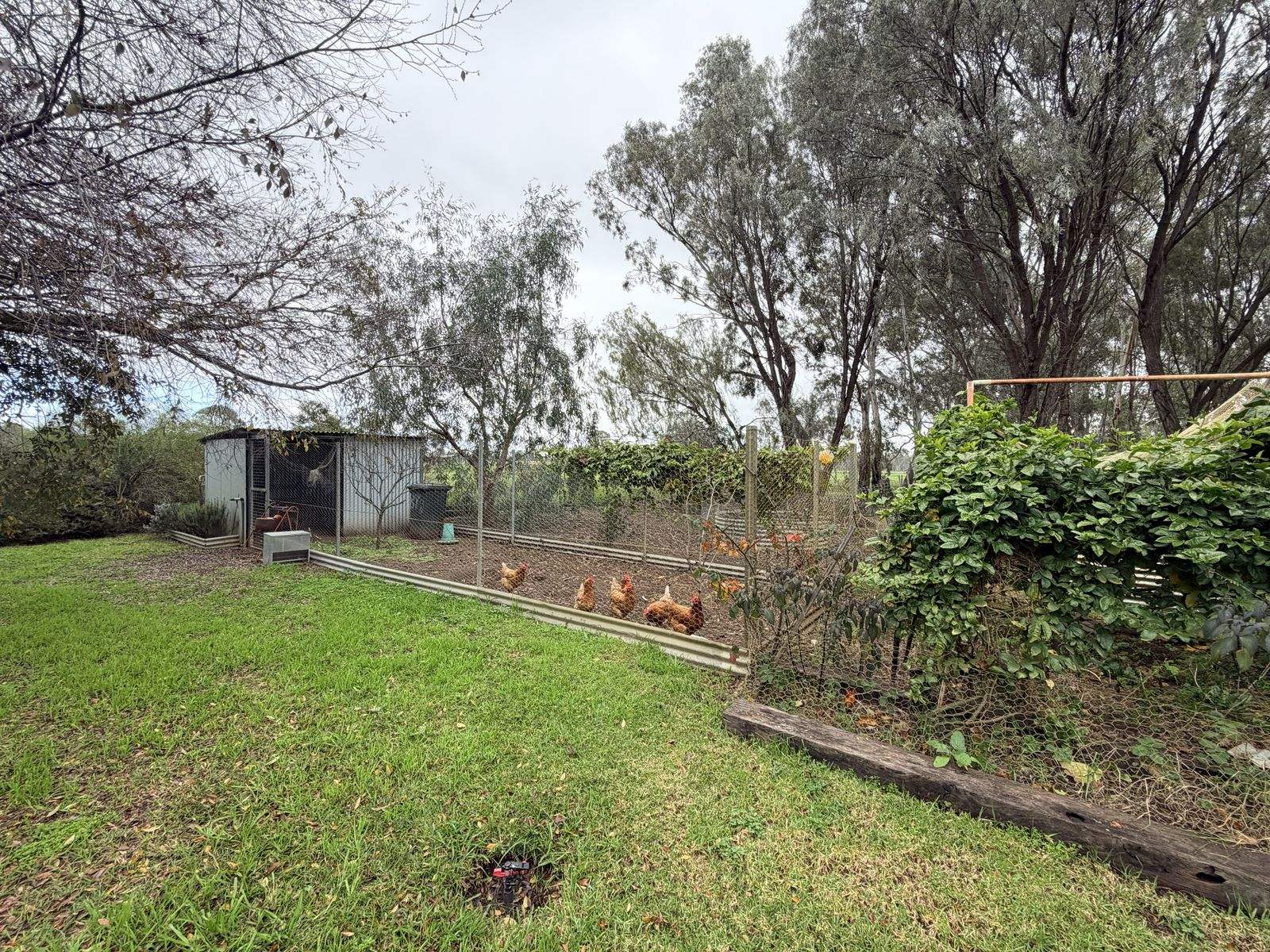 465 East Barham Road, Barham For Sale by Farmbuy.com - image 26