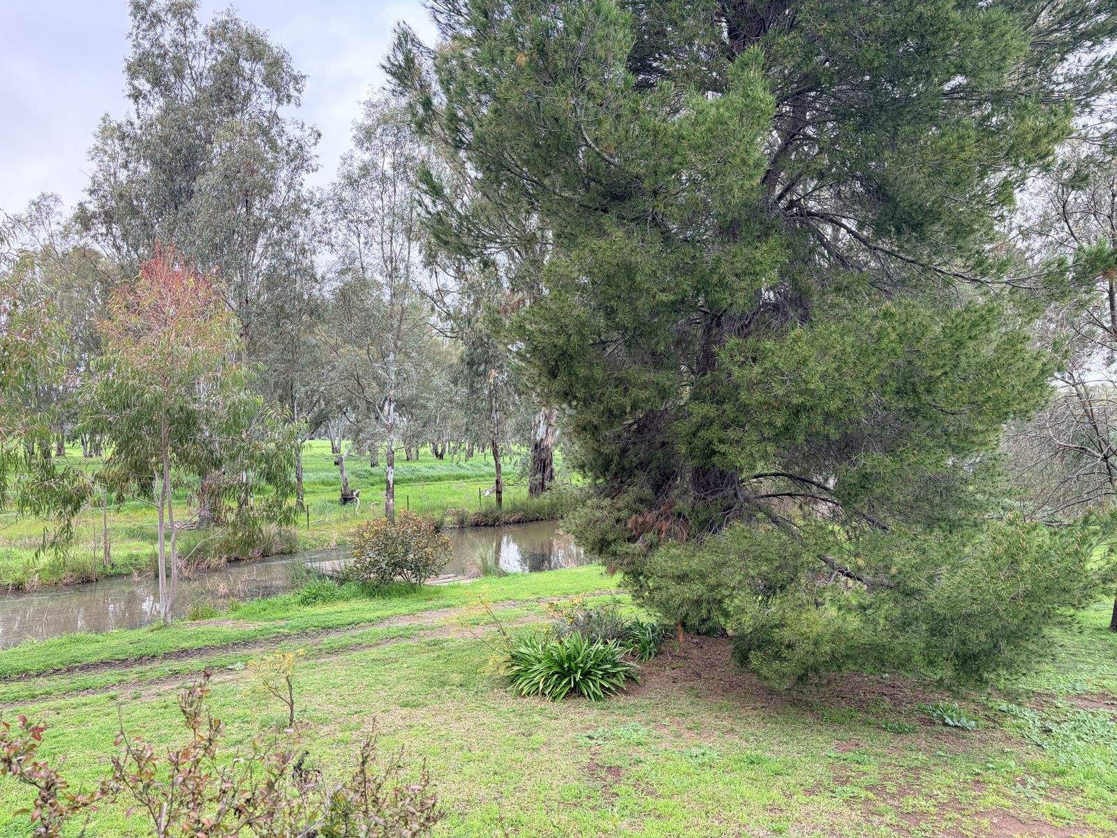 465 East Barham Road, Barham For Sale by Farmbuy.com - image 28