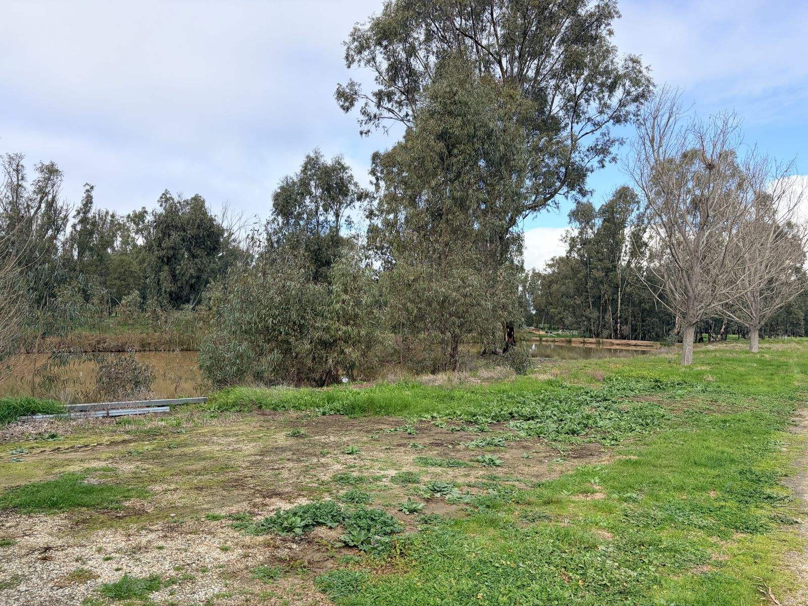 465 East Barham Road, Barham For Sale by Farmbuy.com - image 34
