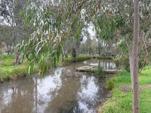 Farm For Sale - NSW - Barham - 2732 - Beautifully Renovated Rural Retreat on 84.47 Acres 
