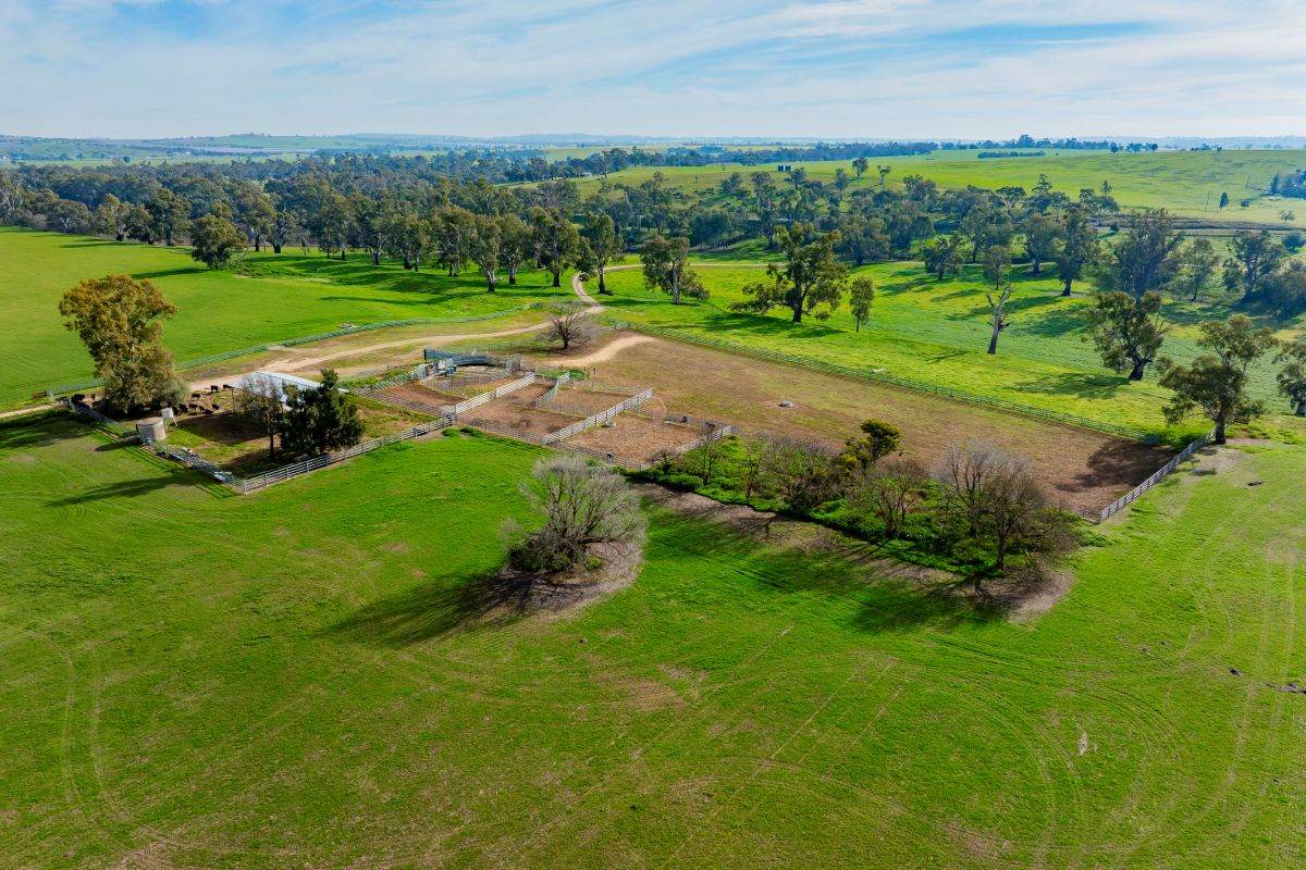 874 Oura Road, Wagga Wagga For Sale by Farmbuy.com - image 27
