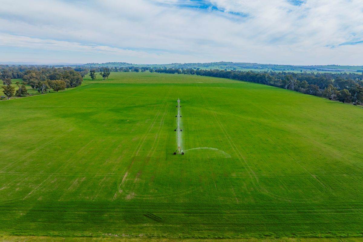 874 Oura Road, Wagga Wagga For Sale by Farmbuy.com - image 19