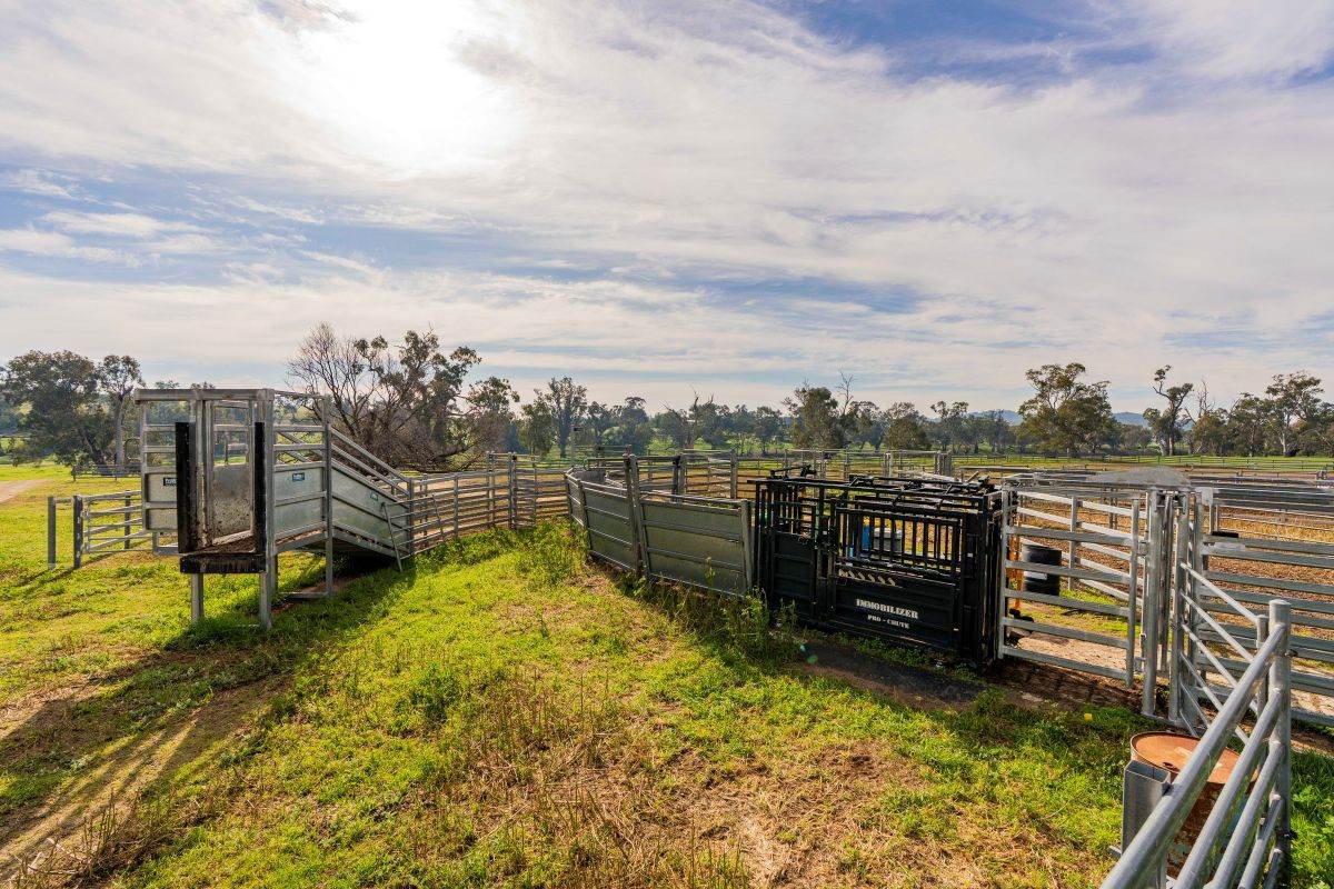 874 Oura Road, Wagga Wagga For Sale by Farmbuy.com - image 26