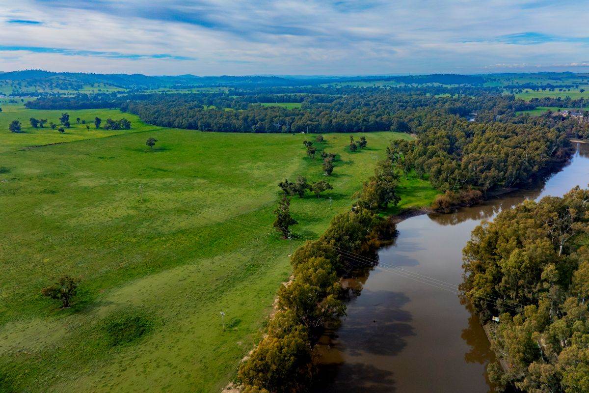 874 Oura Road, Wagga Wagga For Sale by Farmbuy.com - image 18