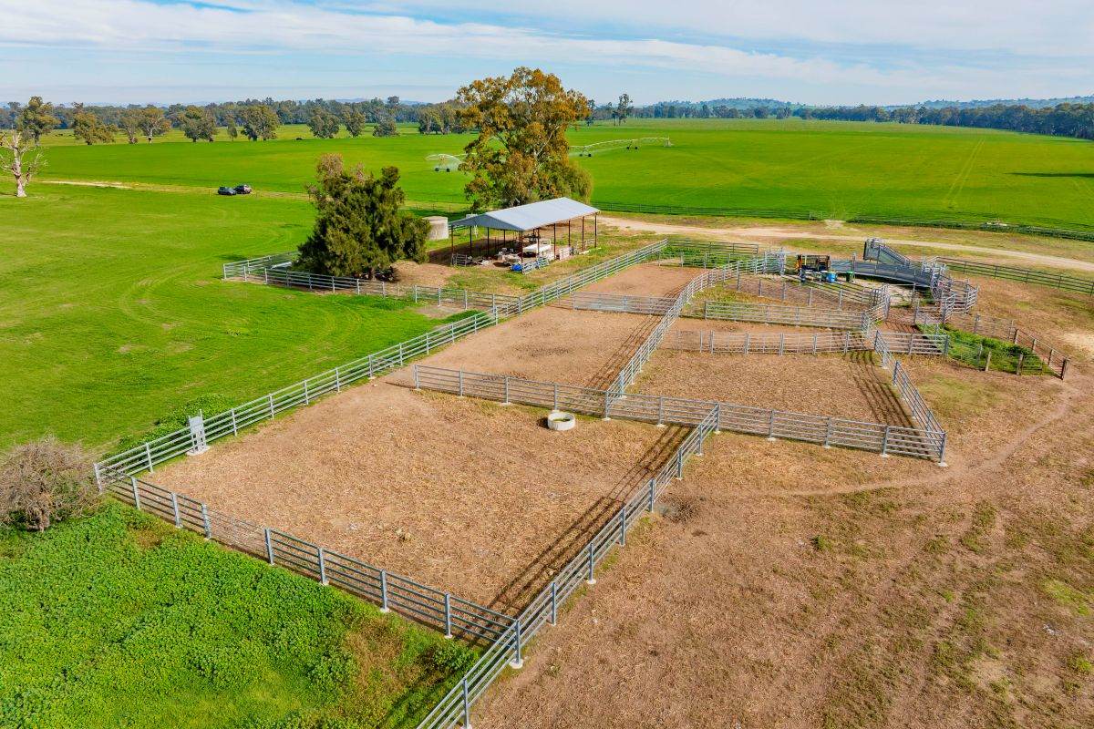 874 Oura Road, Wagga Wagga For Sale by Farmbuy.com - image 25