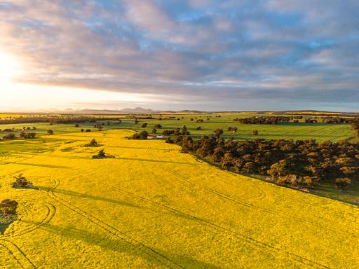 "Wareenup" Newton Road, Cranbrook WA 6321