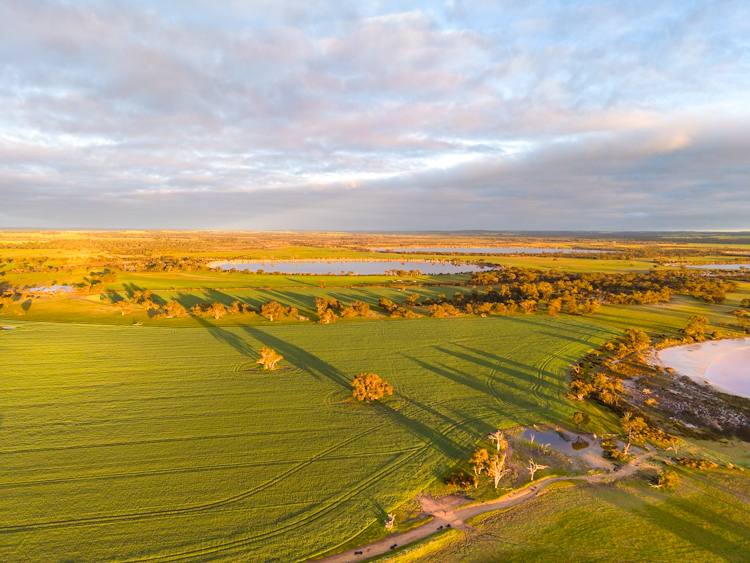 "Wareenup" Newton Road, Cranbrook For Sale by Farmbuy.com - image 5