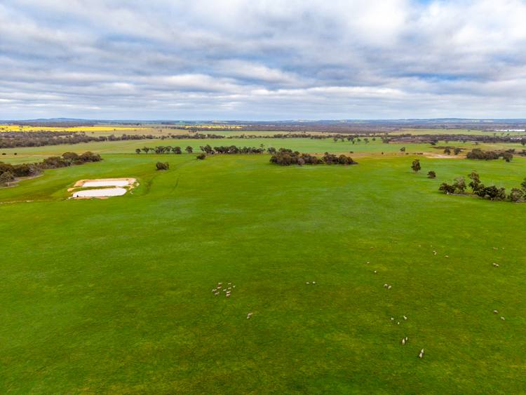 "Wareenup" Newton Road, Cranbrook For Sale by Farmbuy.com - image 15