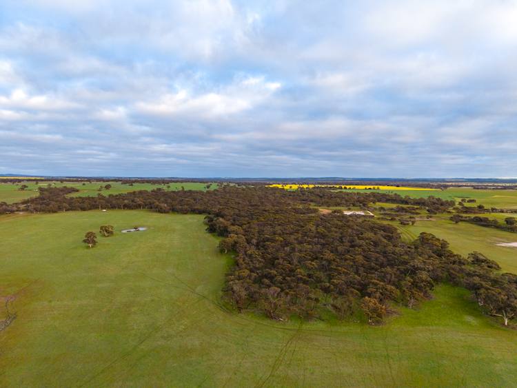 "Wareenup" Newton Road, Cranbrook For Sale by Farmbuy.com - image 11