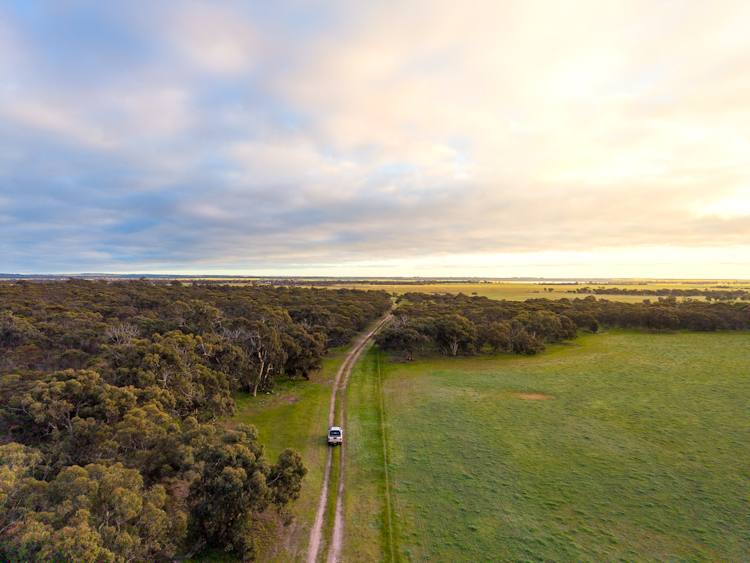 "Wareenup" Newton Road, Cranbrook For Sale by Farmbuy.com - image 10