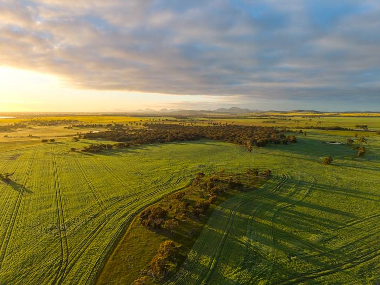 "Wareenup" Newton Road, Cranbrook For Sale by Farmbuy.com - image 9