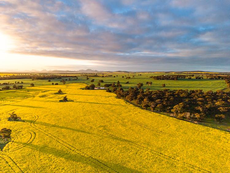 "Wareenup" Newton Road, Cranbrook For Sale by Farmbuy.com - image 1