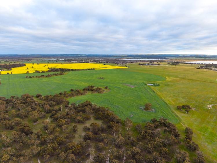 "Wareenup" Newton Road, Cranbrook For Sale by Farmbuy.com - image 12