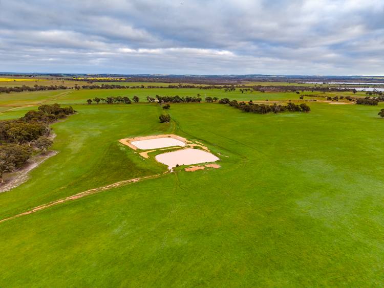 "Wareenup" Newton Road, Cranbrook For Sale by Farmbuy.com - image 16
