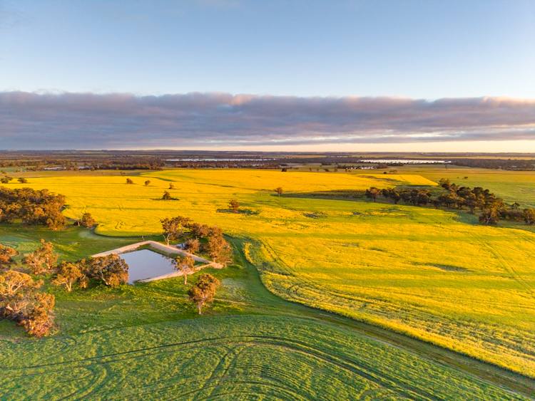 "Wareenup" Newton Road, Cranbrook For Sale by Farmbuy.com - image 2
