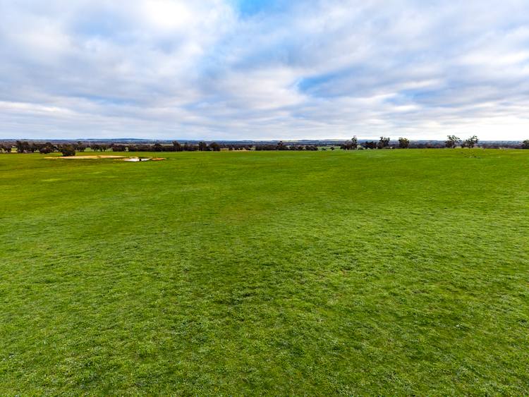 "Wareenup" Newton Road, Cranbrook For Sale by Farmbuy.com - image 14