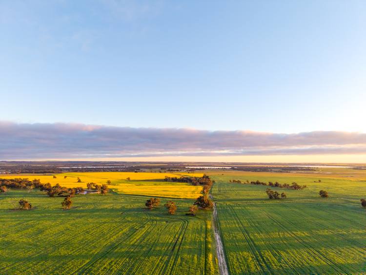 "Wareenup" Newton Road, Cranbrook For Sale by Farmbuy.com - image 4