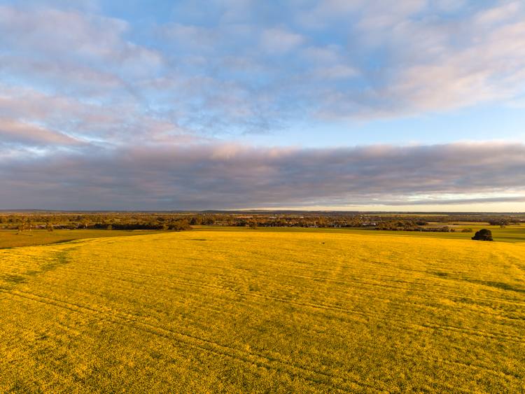 "Wareenup" Newton Road, Cranbrook For Sale by Farmbuy.com - image 7