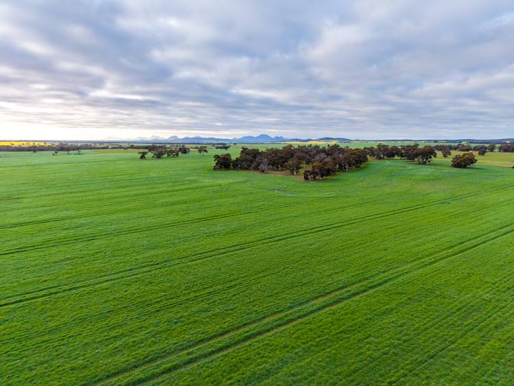 "Wareenup" Newton Road, Cranbrook For Sale by Farmbuy.com - image 13