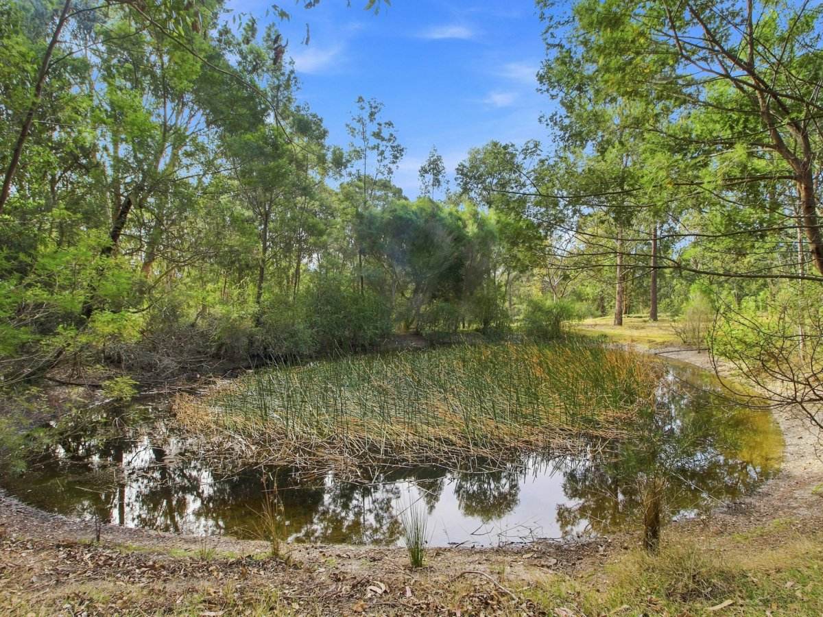 60 Stones Road, Swan Reach For Sale by Farmbuy.com - image 22