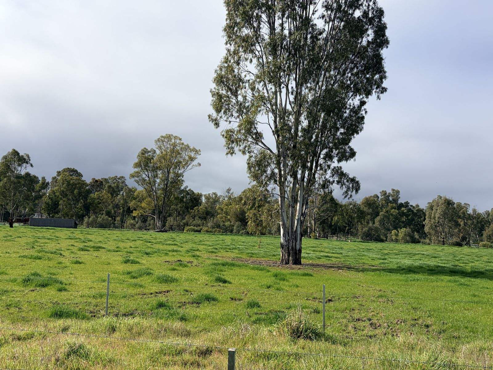 929 East Barham Road, Barham For Sale by Farmbuy.com - image 34