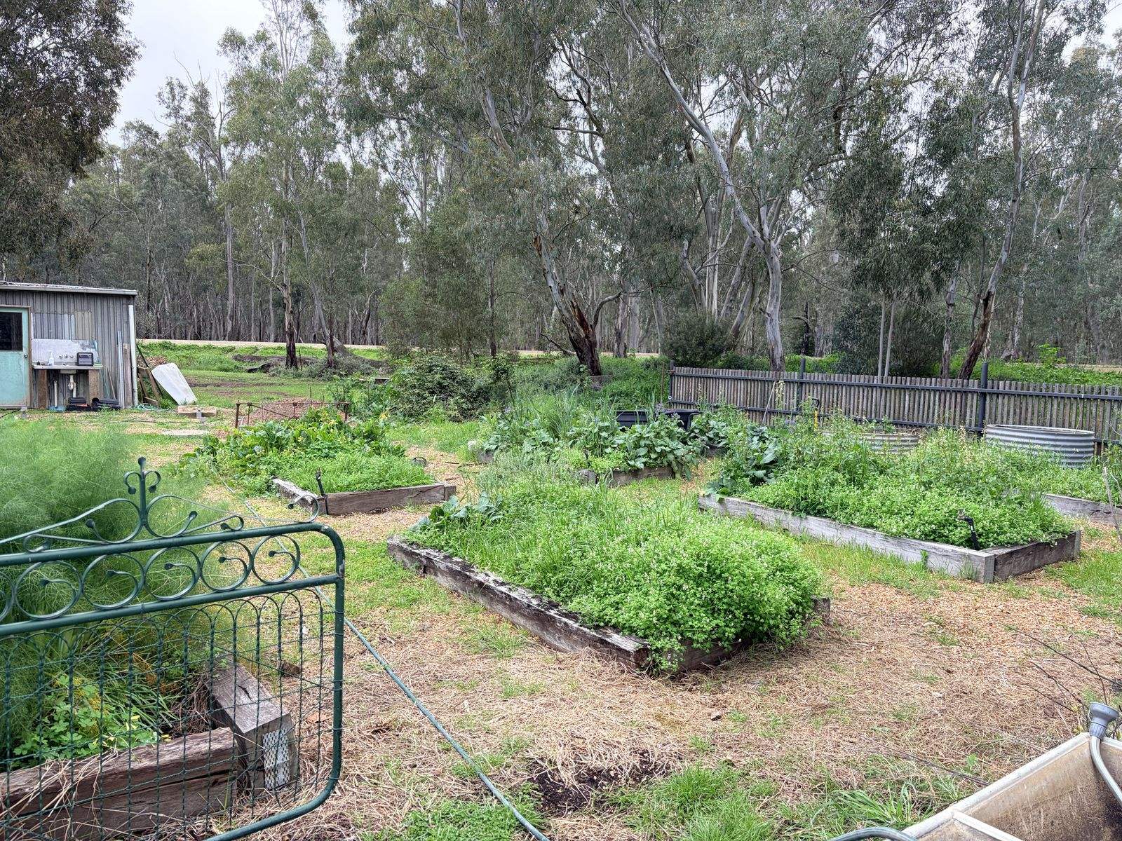 929 East Barham Road, Barham For Sale by Farmbuy.com - image 26
