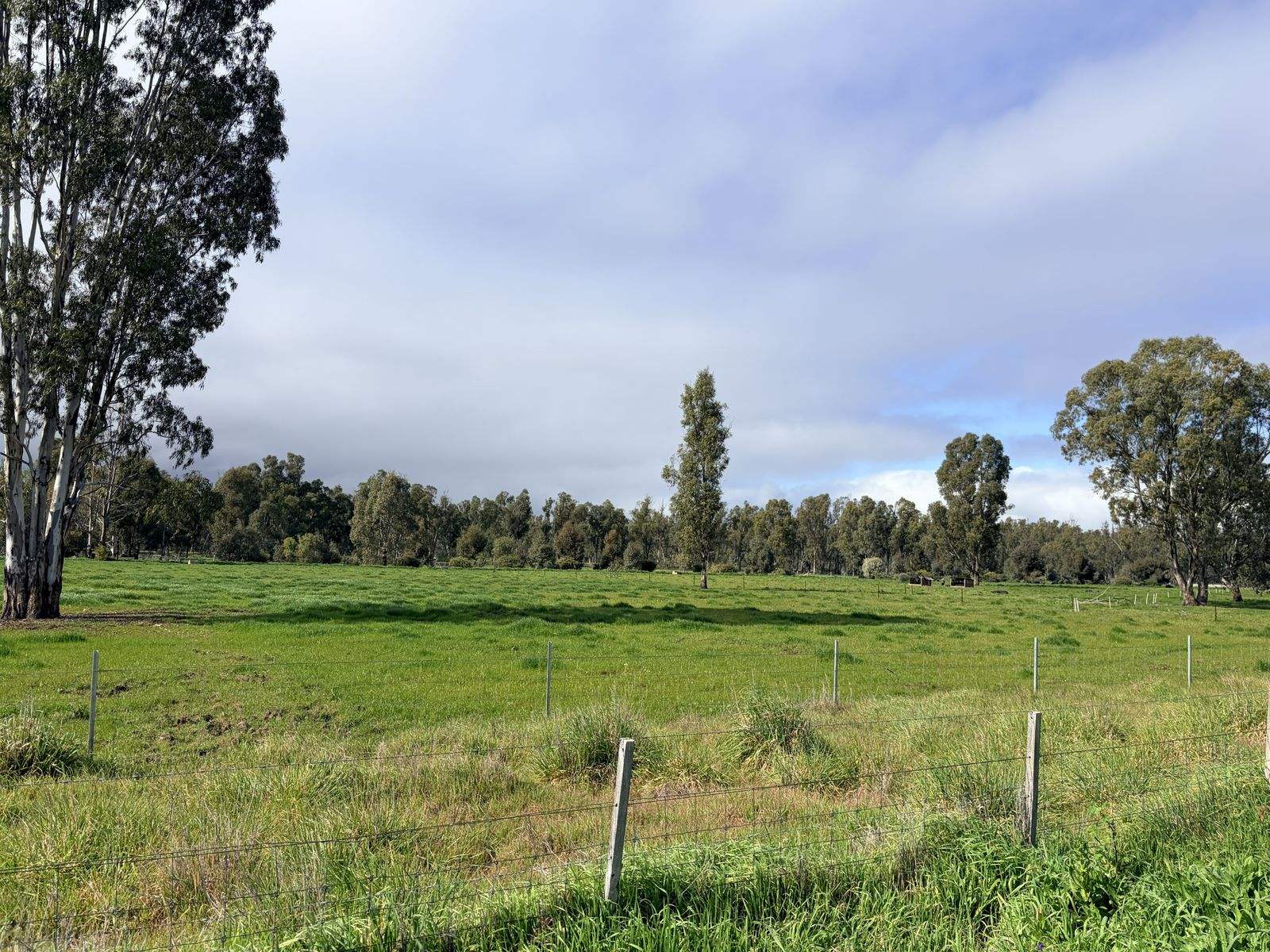 929 East Barham Road, Barham For Sale by Farmbuy.com - image 32