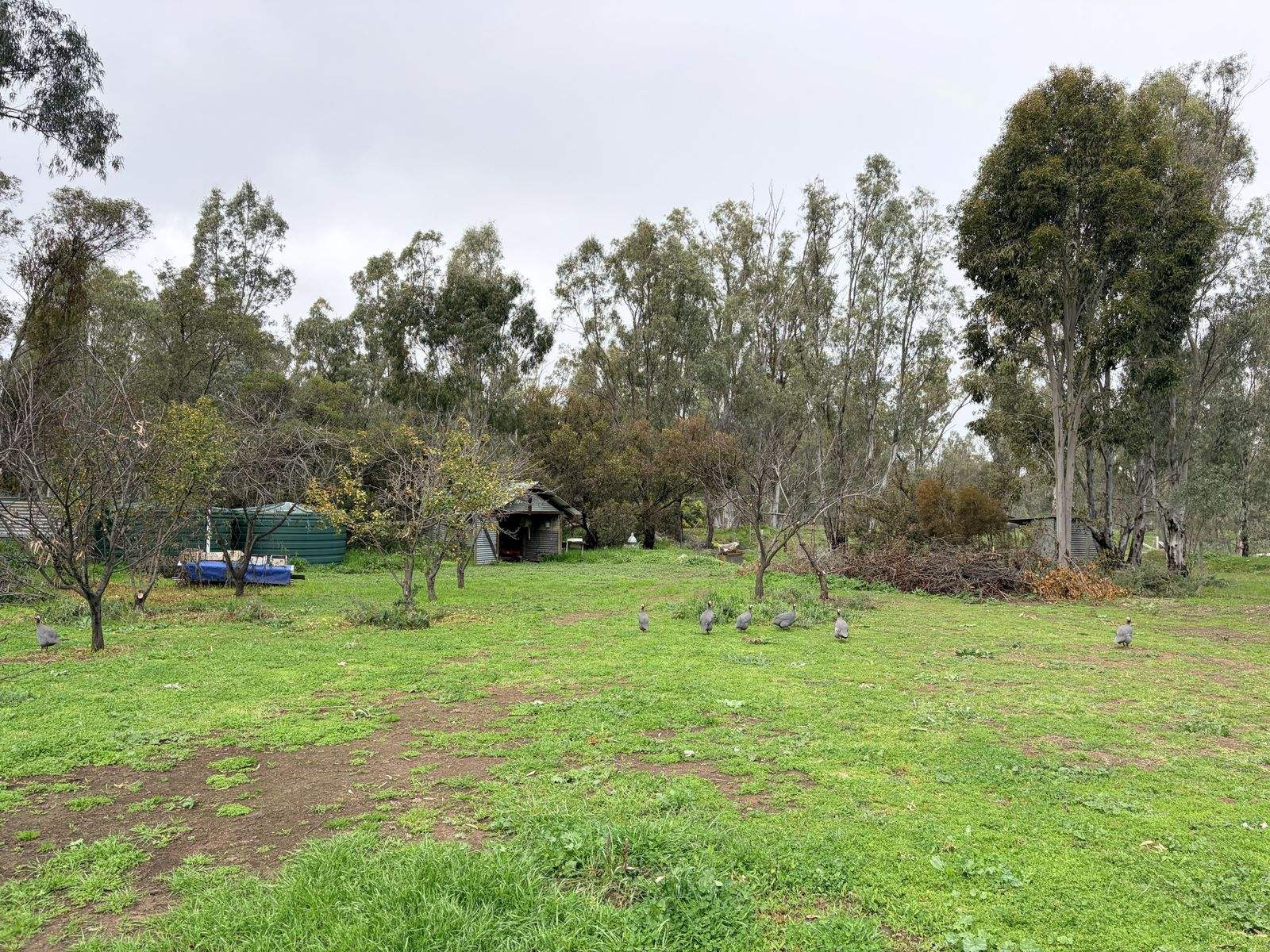 929 East Barham Road, Barham For Sale by Farmbuy.com - image 27